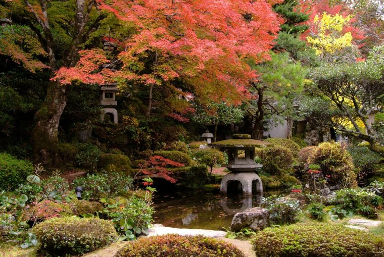 plante pour jardin japonais