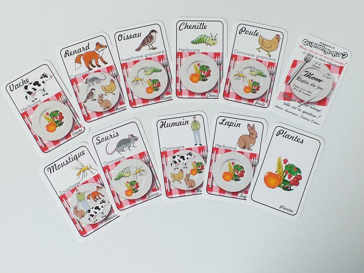 Jeu De Cartes À Imprimer Sur La Chaîne Alimre Éducatif encequiconcerne Jeux A Manger