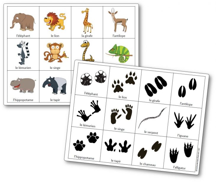 Jeu De Mémoire Des Empreintes Des Animaux D'afrique – Mémory avec Animaux De La Jungle Maternelle