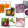 Jeu De Mémory Des Fruits Et Légumes : Détails Et Plantations dedans Jeux De Fruit Et Legume Coupé