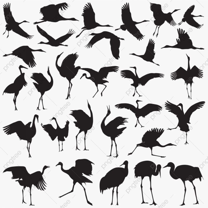 Jeu De Silhouettes De Grues, Belle, Gros, Oiseau Png Et dedans Jeux De Oiseau Gratuit