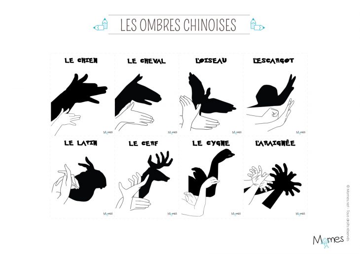 Jeu D'ombres Chinoises À Imprimer – Momes concernant Modèle Oiseau À Découper