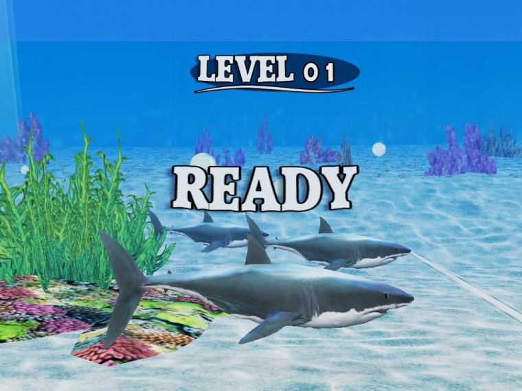 Jeu Gratuit] Fish Race: Course Avec Un Requin Ou Avec Un à Requin Jeux Gratuit