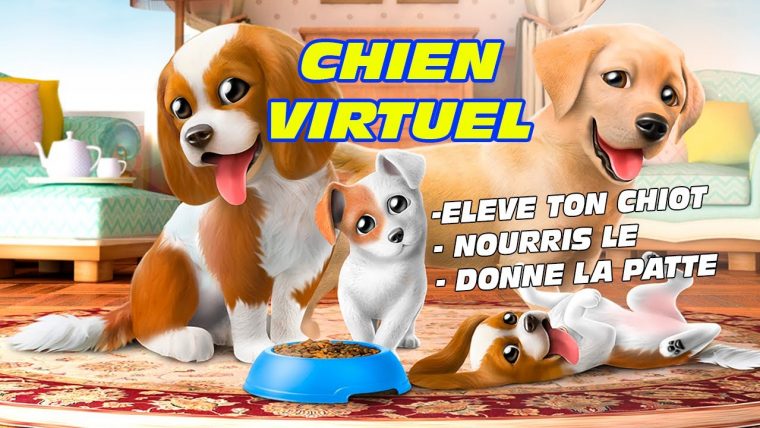 Jeux Chiot Gratuit : Adopte Un Bebe Labrador ! dedans Jeux De Bébé Virtuel