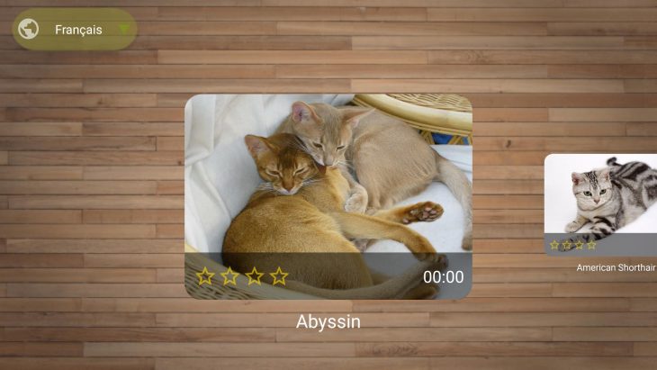 Jeux De Puzzle De Chat Gratuit Pour Android – Téléchargez L'apk intérieur Puzzles Gratuits Pour Tous