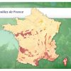 Jeux-Geographiques Jeux Gratuits Jeu Vignobles De France destiné Jeux Geographique Ville De France