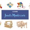 Jouets Montessori Pour Bébés Et Enfants : Le Guide Pratique pour Boite À Forme Montessori
