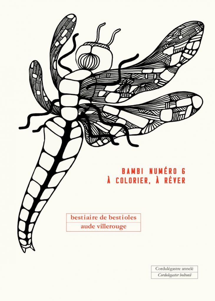 La Dessinatrice Aude Villerouge tout Imagier Insectes