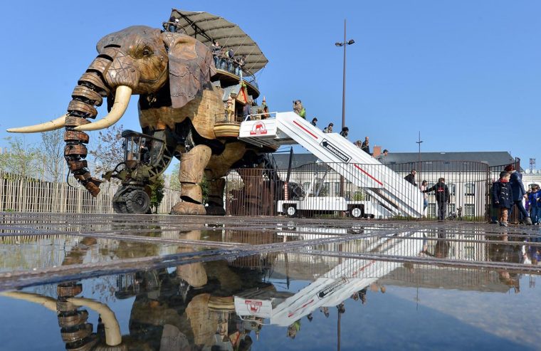 Le Grand Éléphant – Les Machines De L'île encequiconcerne Barrissement Elephant