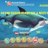 Le Grand Requin Blanc Débloqué ! - Hungry Shark World #4 à Tous Les Jeux De Requin