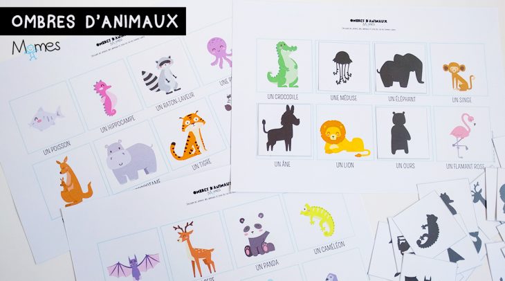 Le Jeu Des Ombres D'animaux – Momes concernant Jeux Ou Il Faut Retrouver Des Objets