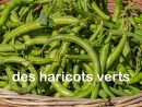 Le Nom Des Légumes En Français tout Nom Legume
