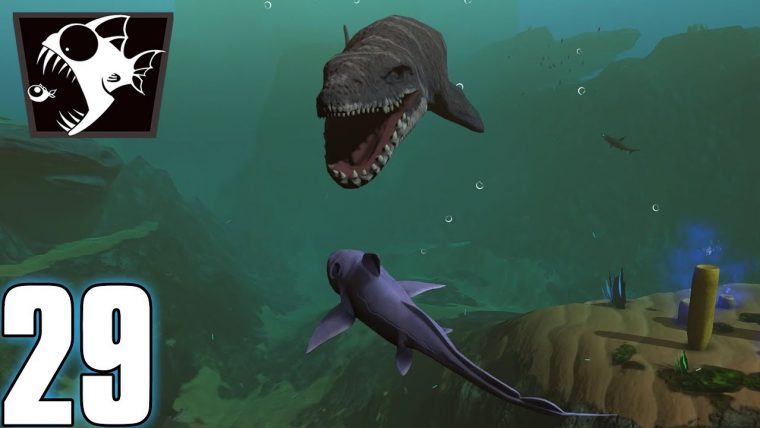 Le Requin Fantôme – Feed And Grow #29 (Fr) concernant Requin Jeux Gratuit