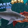 Le Requin Tigre Et Le Roi Des Crabes - Hungry Shark Evolution #4 (Fr) dedans Tous Les Jeux De Requin