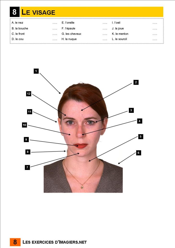 Le Visage. Associer | Corps Humain, Le Corps, Corps avec Apprendre Les Parties Du Visage