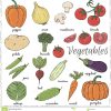Légumes Tirés Par La Main Avec Le Nom Illustration Stock intérieur Nom De Legume