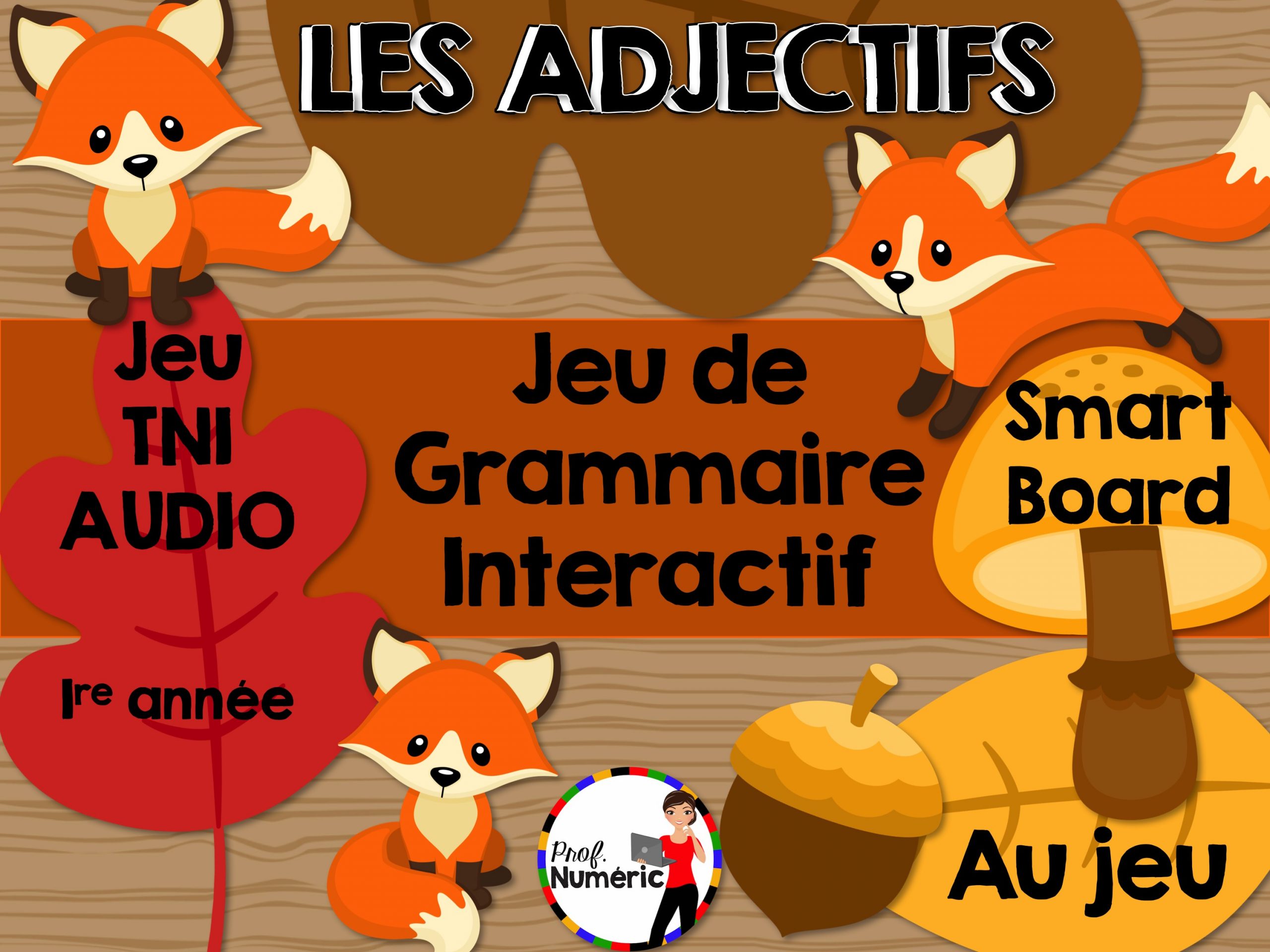 Les Adjectifs- Jeu De Grammaire Tni Interactif tout Jeux Interactifs Primaire