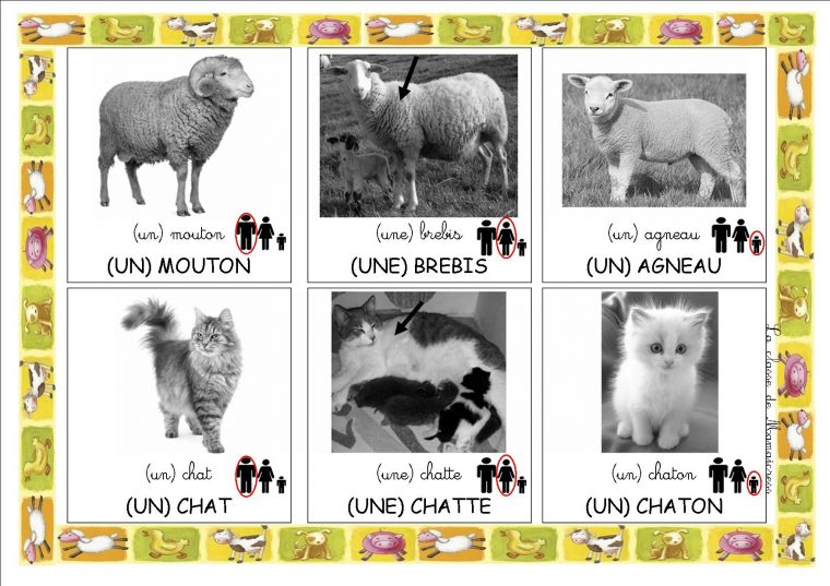 Les Animaux De La Ferme Loto On Hulu | Kamasutra Book Pdf concernant Les Animaux De La Ferme Maternelle