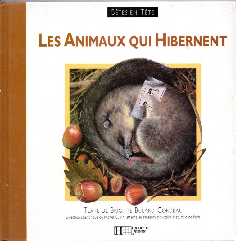 Les Animaux Qui Hibernent pour Animaux Qui Hivernent