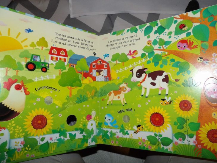 Les Bruits De La Ferme De Editions Usborne – Une Super Maman concernant Bruit Des Animaux De La Ferme