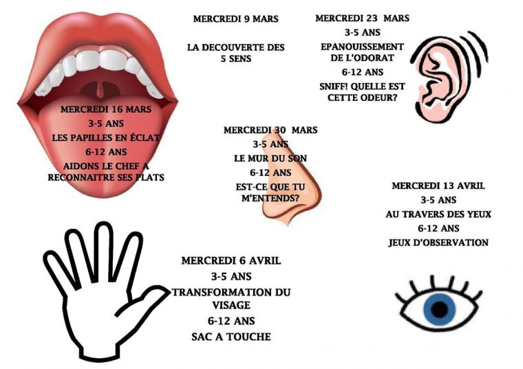 Les Cinq Sens Sont Au Rendez-Vous Au Mas Des Enfants – Le à Jeu Des Cinq Sens