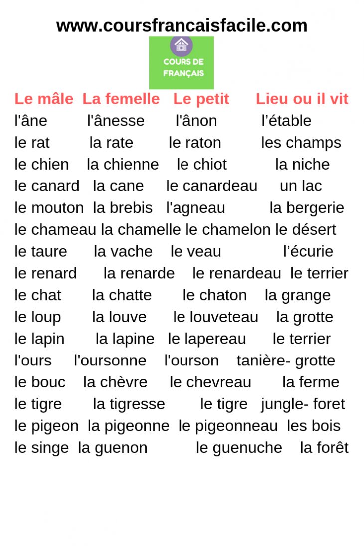 Les Familles Des Animaux | Cours De Français, Apprendre Le concernant Exercice Francais Facile