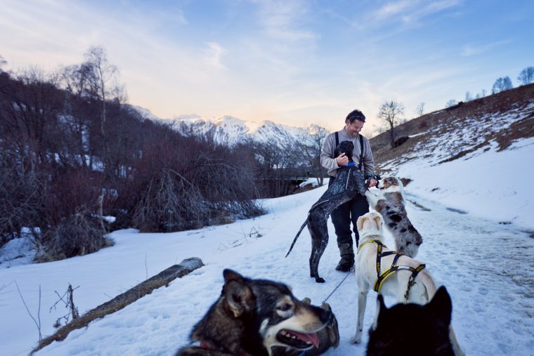 Les Joies De La Montagne En Hiver Avec Un Jeune Enfant destiné Chien Qui Fait De La Luge