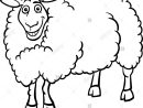 Les Moutons De La Ferme À Colorier Dessin Pour Banque D dedans Mouton À Colorier