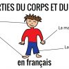Les Parties Du Corps Et Du Visage En Français encequiconcerne Apprendre Les Parties Du Visage