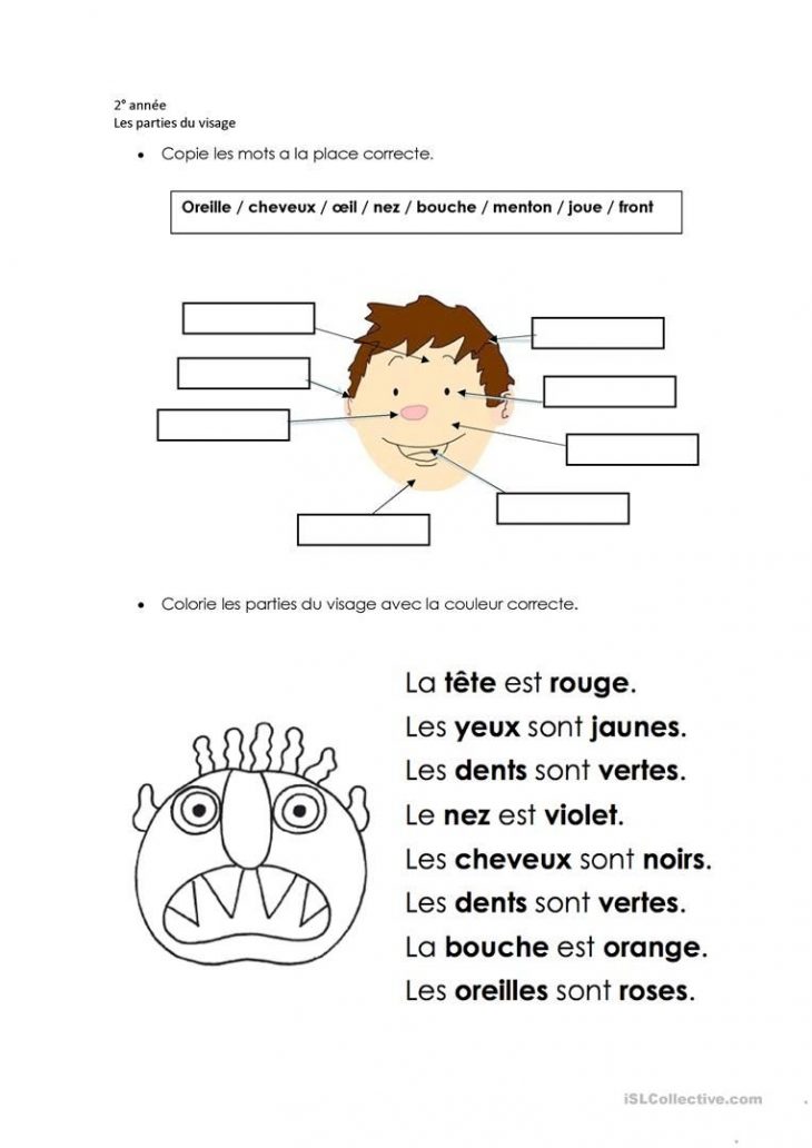 Les Parties Du Visage | Nez Bouché Et Partie Du Corps concernant Apprendre Les Parties Du Visage