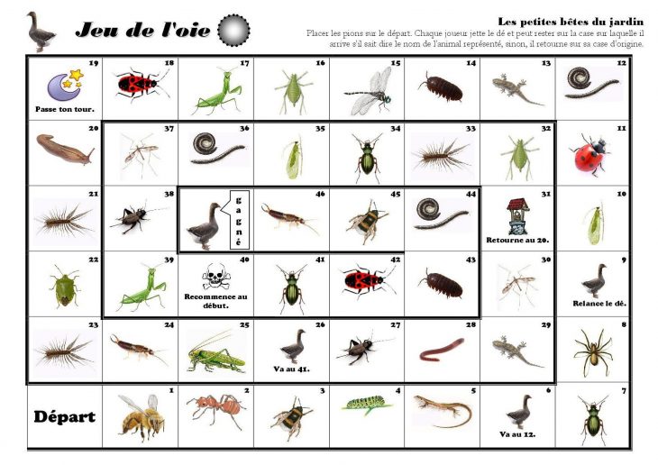 Les Petites Bêtes Du Jardin (Avec Images) | Les Petites tout Imagier Insectes