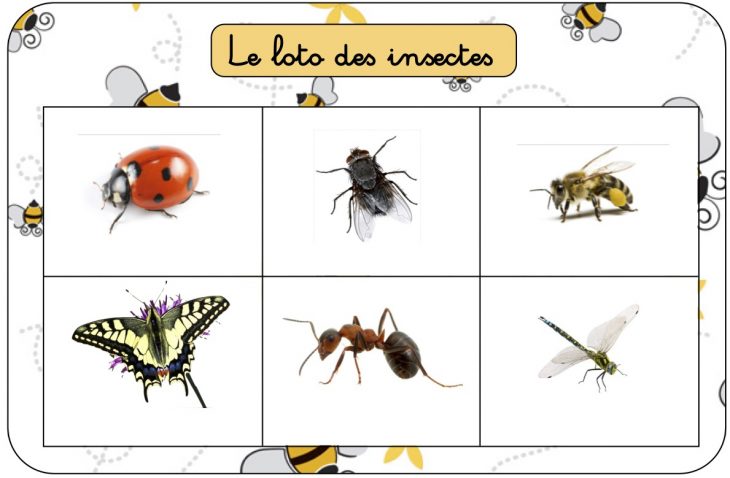 Les Petits Jeux De July: Les Insectes avec Imagier Insectes