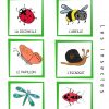 L'imagier Du Printemps concernant Imagier Insectes