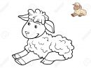 Livre À Colorier Pour Les Enfants, Mouton avec Mouton À Colorier