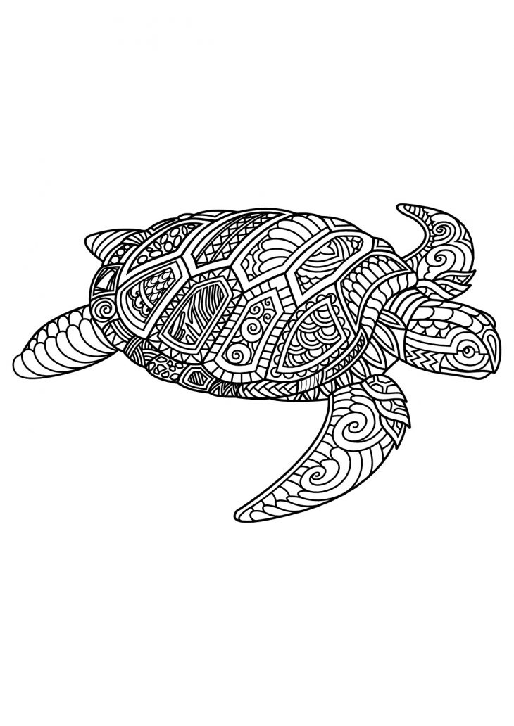 Livre Gratuit Tortue – Tortues – Coloriages Difficiles Pour pour Jeux De Tortue Gratuit