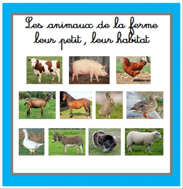 Imagier Animaux De La Ferme Primanyc Com