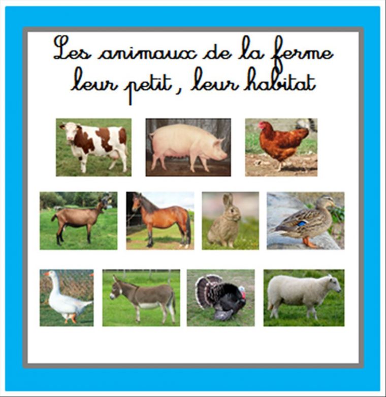 Livre Imagier Maternelle concernant Les Animaux De La Ferme Maternelle