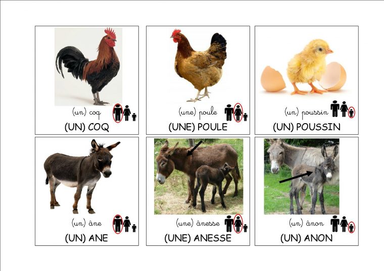 Loto Des Animaux De La Ferme – La Classe De Mamaicress concernant Les Animaux De La Ferme Maternelle