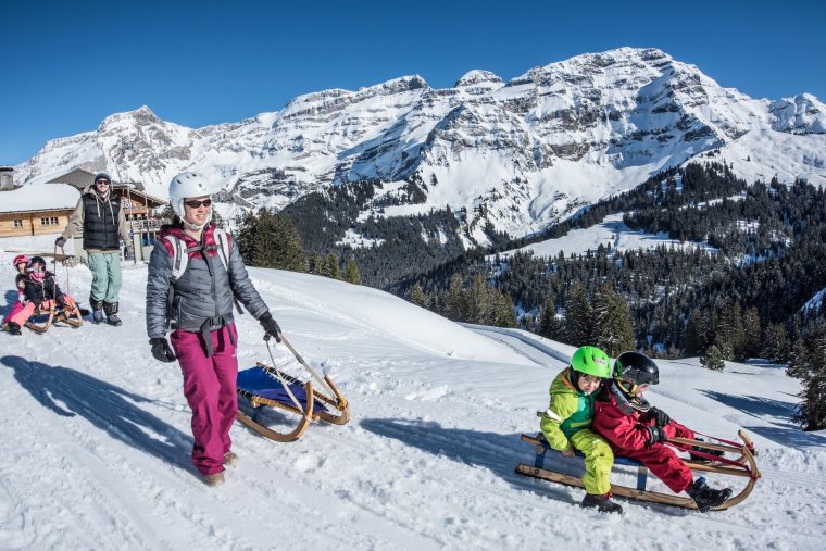 Luge Aux Diablerets tout Chien Qui Fait De La Luge