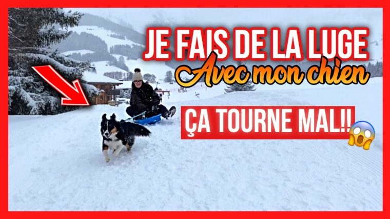 Luge Avec Mon Chien 🐶 Ça Tourne Mal!!😱 + Vacances À La Montagne tout Chien Qui Fait De La Luge