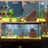 L'univers De Mario Bros Dans Un Aquarium, Pour Les Fans De destiné Jeux Du Poisson