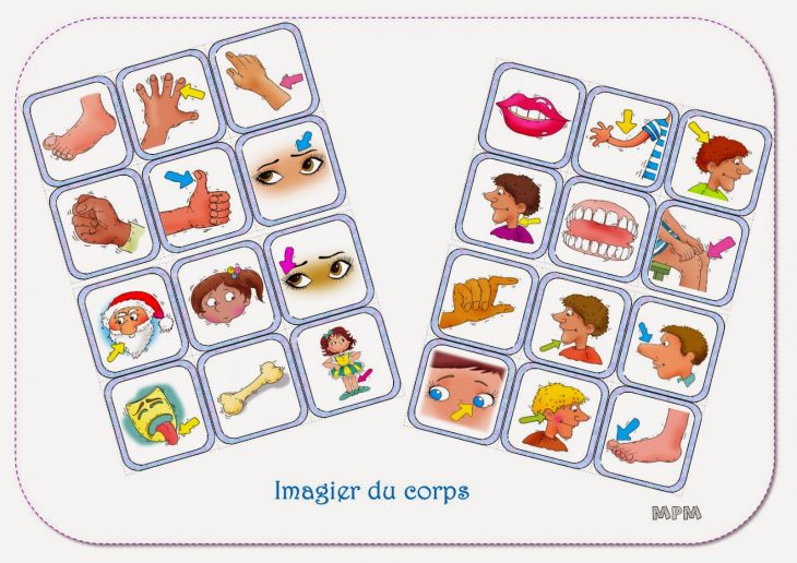 Ma Petite Maternelle: Imagier Du Corps avec Imagiers Maternelle