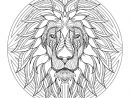 Mandala Tête De Lion 4 - Mandalas Difficiles (Pour Adultes pour Photo De Lion A Imprimer En Couleur