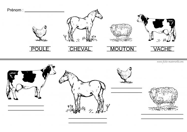 Maternelle concernant Les Animaux De La Ferme Maternelle