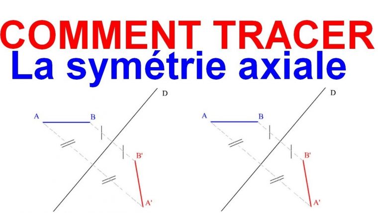 Maths 6Ème – Les Bases De La Géométrie : La Symétrie Axiale Exercice 23 concernant Symétrie Axial