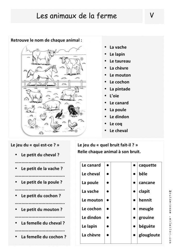 Mes Fiches De Vocabulaire | Bout De Gomme à Fiche A Imprimer Ce1