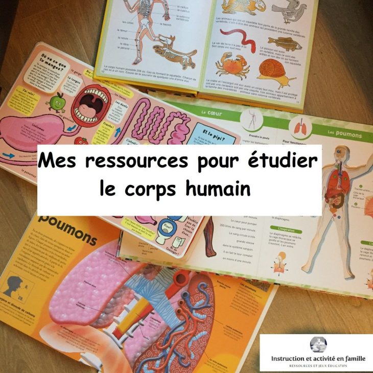 Mes Ressources Pour Étudier Le Corps Humain | Activités Du destiné Activité Corps Humain