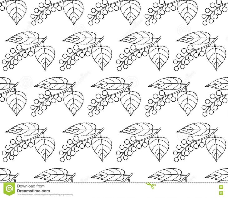 Modèle De Découpe De Cerise D'oiseau Illustration De Vecteur pour Modèle Oiseau À Découper