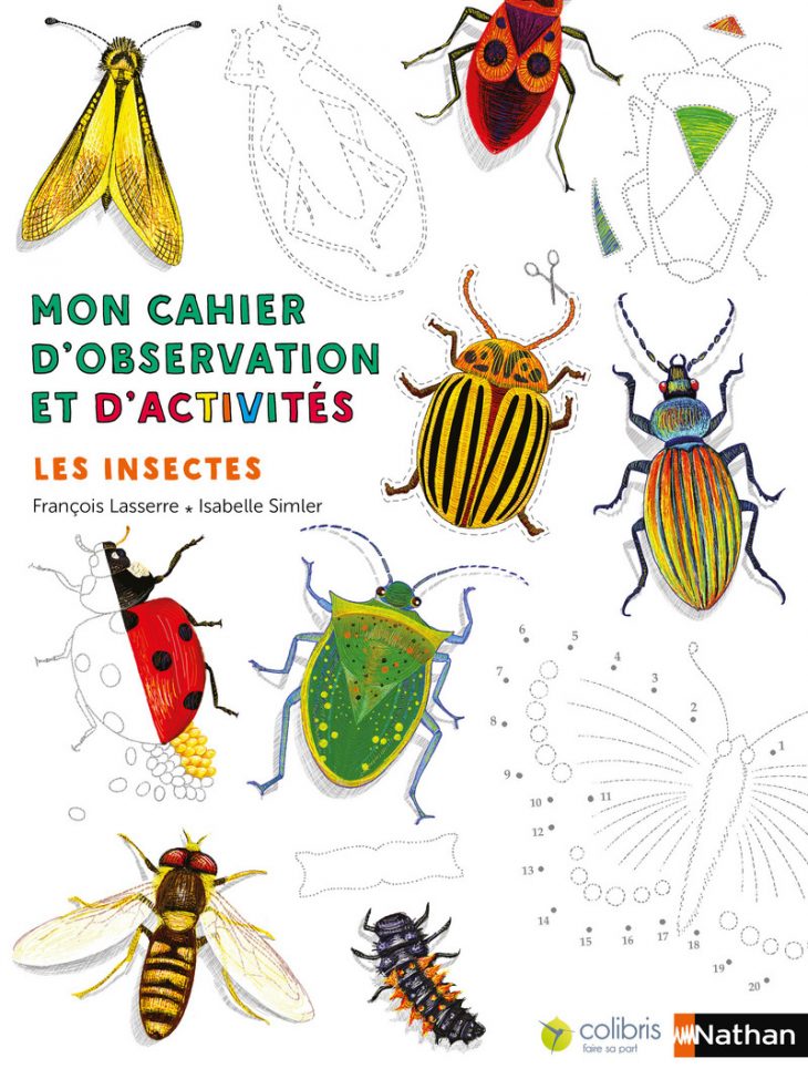 Mon Cahier D'observation – Les Insectes tout Imagier Insectes