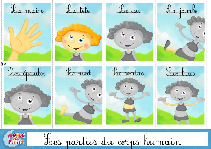 Monde Des Petits – Apprendre En Vidéo destiné Apprendre Les Parties Du Visage